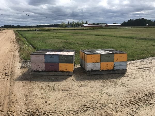 How Farmers In New Jersey's Pinelands Grapple With The Environmental ...