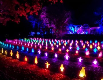 LumiNature at the Philadelphia Zoo MARK HENNINGER / IMAGIC DIGITAL
