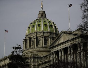 The dome of the Pennsylvania Capitol is visible in Harrisburg. (Matt Rourke/AP Photo)