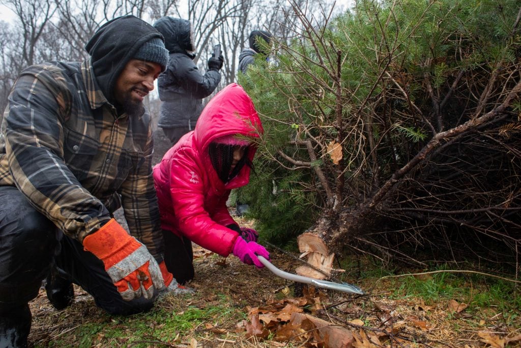 Philly region suffers ongoing Christmas tree shortage WHYY