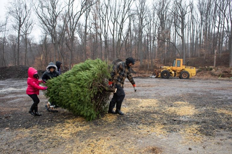 The Lynard family carries their Christmas tree at Linvilla Orchards in Media, Pennsylvania on Sunday. (Becca Haydu for WHYY)