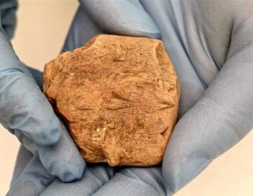 A fragment of clay tablet at the Penn Museum carries information about a business transaction that took place in Ur about 4,000 years ago. (Emma Lee/WHYY)