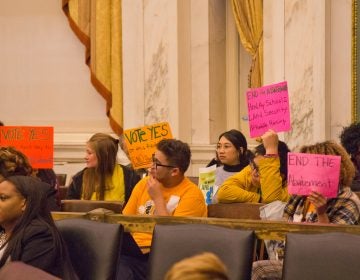 Activists urge City Council members to vote to end the 10-year property tax abatement. (Kimberly Paynter/WHYY)