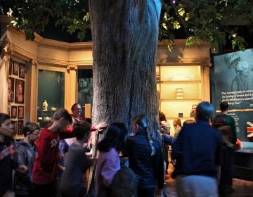 The exhibit room that houses the Liberty Tree at the Museum of the American Revolution is softly lit and full of tactile experiences, but the hubbub can be too much for some children with autism. (Emma Lee/WHYY)