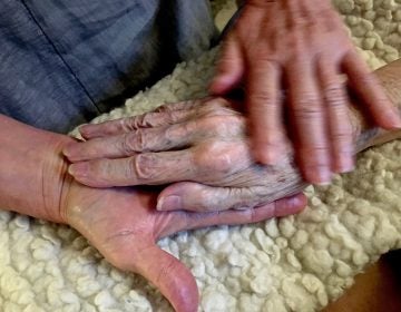 Allison Beach holds the hand of her ailing mother Kathryne Beach inside her home in Hinesburg, Vt. Allison  (Thomas Marrinson/AP Photos)