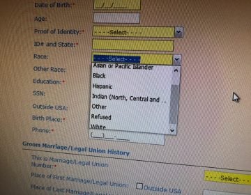 Marriage license applicants in Delaware are asked for their race when they appear at their county’s marriage bureau. This is screen shot of the computerized template that clerks fill out. (Cris Barrish/WHYY)