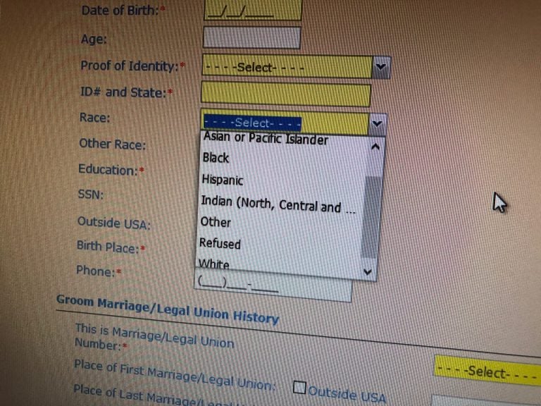 Marriage license applicants in Delaware are asked for their race when they appear at their county’s marriage bureau. This is screen shot of the computerized template that clerks fill out. (Cris Barrish/WHYY)