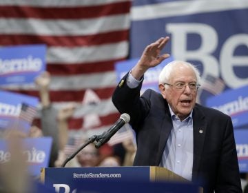Sen. Bernie Sanders, I-Vt., speaks to supporters at an Iowa rally in March. (Nati Harnik/AP Photo)