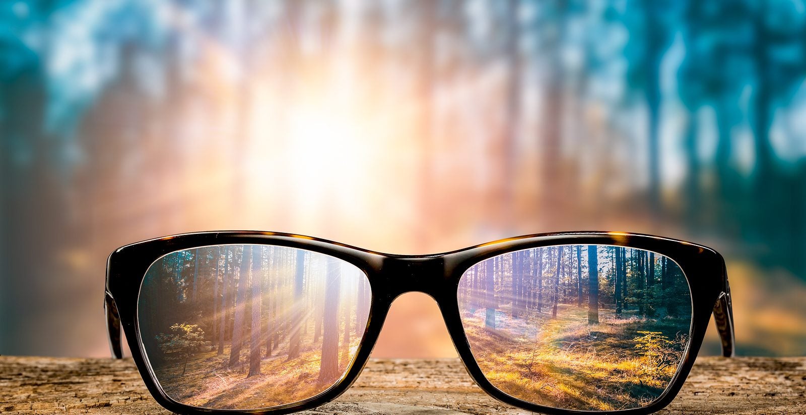 a pair of glasses focused on a forest