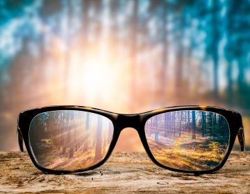 a pair of glasses focused on a forest