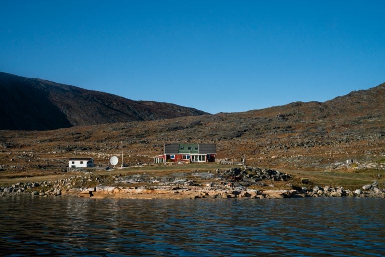 The Nielsens' sheep farm sits on the edge of a fjord in southern Greenland. The family has owned and run the farm since 1972. (Claire Harbage/NPR)