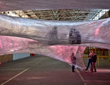Enter the Cocoon, an art installation at Philadelphia’s Navy Yard. (Kimberly Paynter/WHYY)