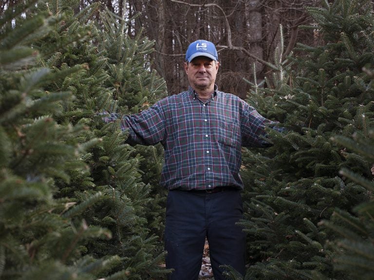 Joey Clawson at one of his Christmas tree stands on the first day of harvest. He grows about 95,000 firs on his operation. (Irina Zhorov for WHYY)