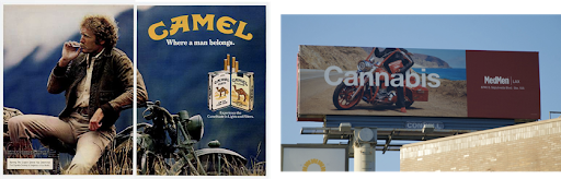 A side-by-side comparison shows advertisements for Camel cigarettes and cannabis.