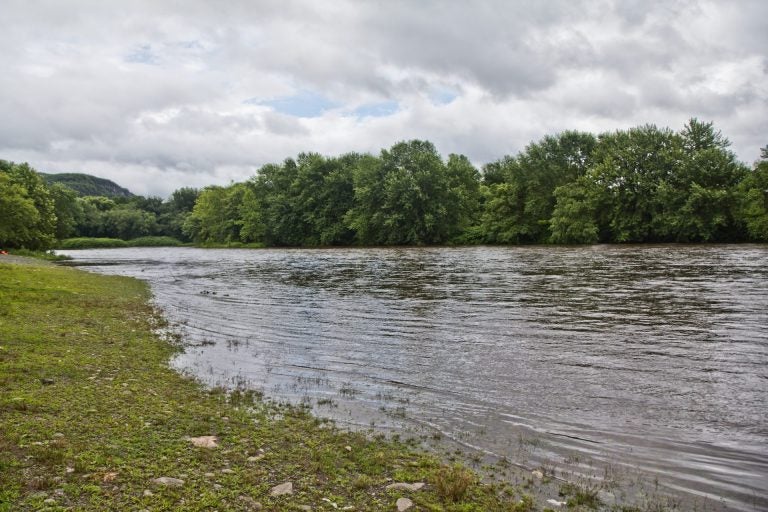 A view of the Delaware River, Monroe County. (Kimberly Paynter/WHYY)