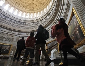 Visitors follow a tour guide into the rotunda at the U.S. Capitol, Wednesday Jan 29, 2020, in Washington. (Steve Helber/AP Photo)