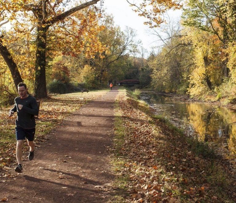 A person runs on a pathway surrounded by trees.