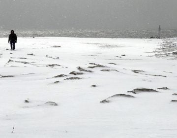 Ken Phillips walks on a snow-covered beach at 2nd Avenue in Cape May, N.J., Thursday, Feb. 26,  2015. (AP Photo/The Press of Atlantic City, Dale Gerhard) 