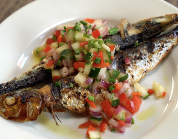 a fish