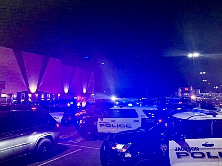 Police converge on a Howell movie theatre Wednesday evening after fireworks lit outside caused panic inside the building. (Image courtesy of Kelsey Disher via JSHN)