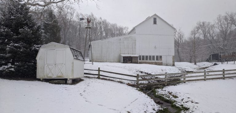 A small creek runs through the Shirk family farm in Caenarvon Township, Lancaster County on Wednesday, Jan. 8. 2020. (Rachel McDevitt/WITF)