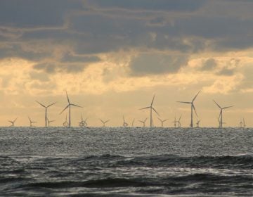 In November, Gov. Phil Murphy signed an executive order more than doubling the state’s original goal for offshore wind. (David Will/Pixabay)