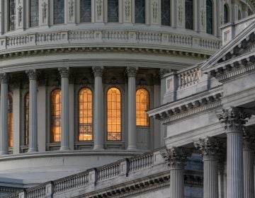 The Capitol and Senate are seen in Washington. (J. Scott Applewhite/AP Photo)