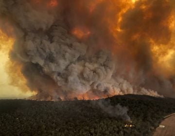 In this aerial photo Monday, Dec. 30, 2019, wildfires rage under plumes of smoke in Bairnsdale, Australia. (Glen Morey via AP, File)