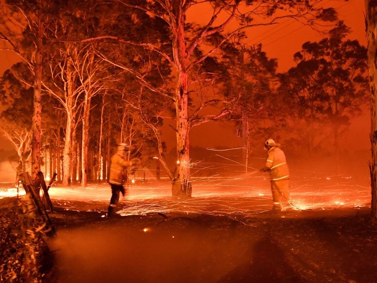 Firefighters battle a blaze engulfing trees in the town of Nowra in the Australian state of New South Wales on Dec. 31, 2019. Fire conditions worsened into the New Year, with thousands forced to evacuate. (Saeed Khan/AFP via Getty Images)