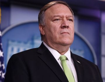 In the audio interview, NPR reporter tells how Secretary of State Mike Pompeo challenged her to find Ukraine on map. (Alex Wong/Getty Images)