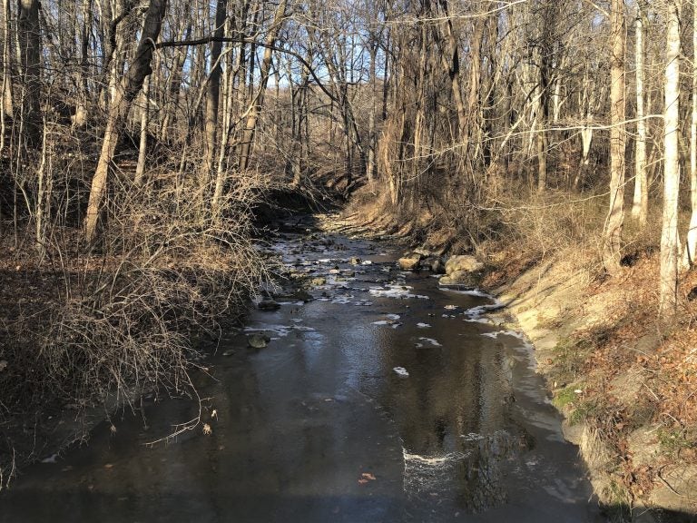 Pike Creek near Newark. Officials says the Clean Water Trust would pave the way for cleaner drinking water, improved stormwater runoff and higher-quality waterways. (Cris Barrish/WHYY)