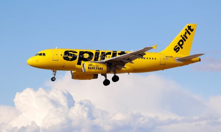 An Airbus A319 jetliner, belonging to Spirit Airlines, lands at McCarran International Airport in Las Vegas, Nevada on March 5, 2015. (AP Photo)