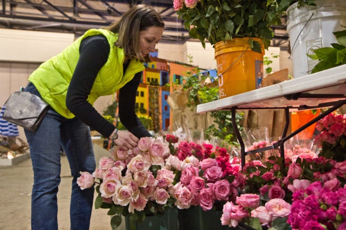 René Tucci constructs the Princess Grace Rose Garden at the 2020 Philadelphia Flower Show. (Kimberly Paynter/WHYY)