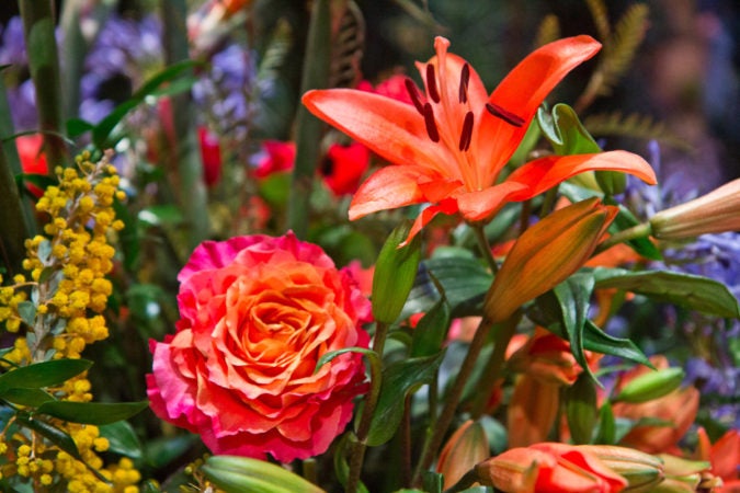 Flowers atop the main exhibit of the 2020 Philadelphia Flower Show, themed “Rivera Holiday.” (Kimberly Paynter/WHYY)