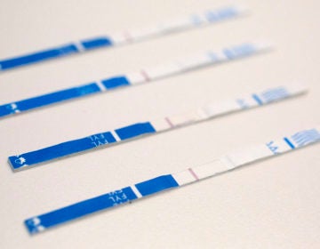 An arrangement of fentanyl test strips