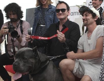 When Quentin Tarantino accepted the Palm Dog award at the 2019 Cannes  Film Festival, he called Sayuri, the dog actor in 