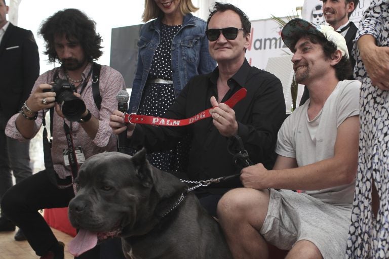 When Quentin Tarantino accepted the Palm Dog award at the 2019 Cannes  Film Festival, he called Sayuri, the dog actor in 