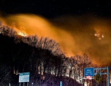 Wildfire near the New Jersey side of the Delaware Water Gap National Recreation Area near Hardwick Township, N.J., Sunday, Feb. 23, 2020. Firefighters from federal and New Jersey agencies were battling the forest fire that broke out in a popular hiking area near the Pennsylvania border. (Adam Polinger via AP Photo)