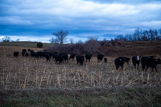 Scenes from Chambersburg and Franklin County, December 2019. (Jeffrey Stockbridge for Keystone Crossroads)
