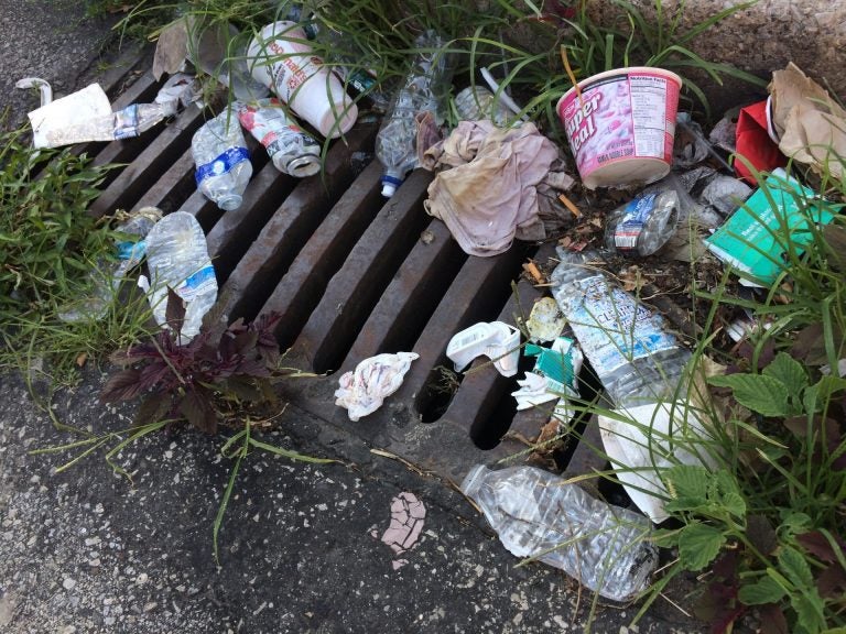 Stormwater drains in Philadelphia have traps to capture trash, but smaller pieces of plastic can get through all the way to the river. (Catalina Jaramillo/WHYY)