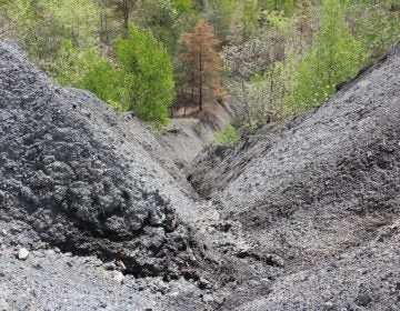 A coal refuse pile from the early 20th century in Fredericktown, Pa. (Reid R. Frazier)