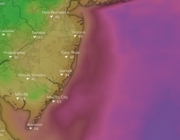 The wind gust forecast for 2 p.m. Friday. (windy.com)