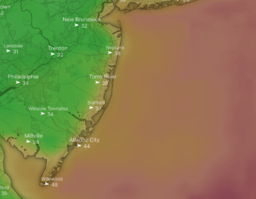 The wind gust forecast for 11 a.m. Thursday. (Windy.com screenshot)