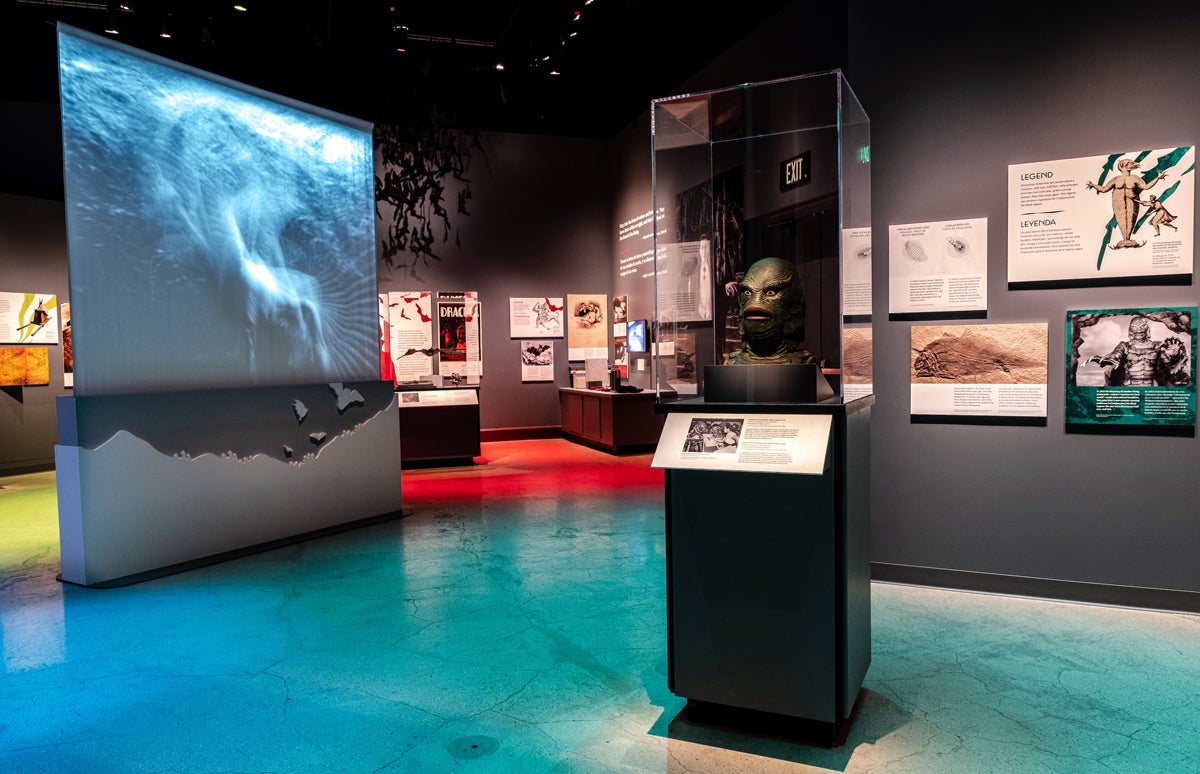 A replica of the mask from 1954’s “Creature from the Black Lagoon” on display in the “Natural History of Horror” exhibit at the Natural History Museum of Los Angeles County. (Photo courtesy of the Natural History Museum of Los Angeles County)