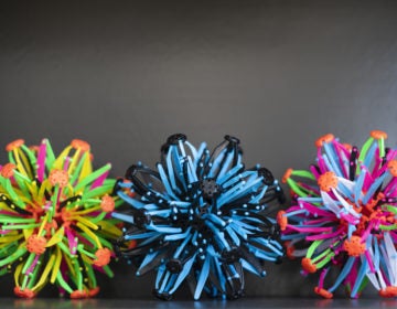 Nashville teacher Riki Rattner uses expandable balls to help students visualize their breathing. (William DeShazer/WLPN)