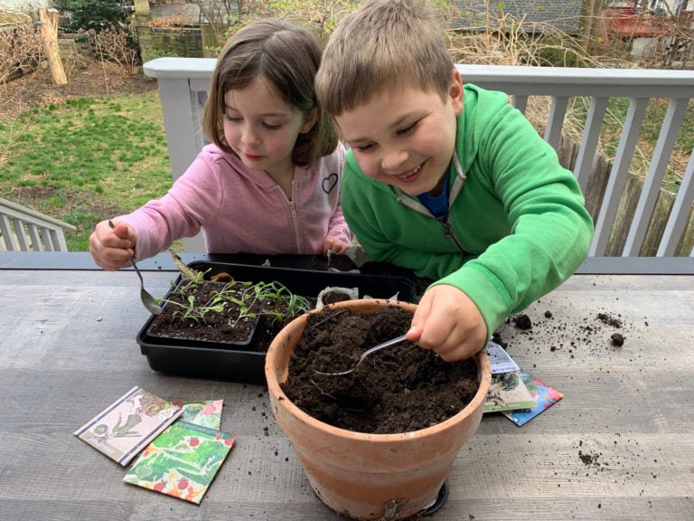 Anna Barsanti, 5, and her brother, Pierce Barsanti, 7, plant seeds to put under the four foot long grow lamp in the basement of their family home in Mt. Airy. Those seedlings can be transplanted to the garden later in the spring. (Courtesy of Erin Mooney)