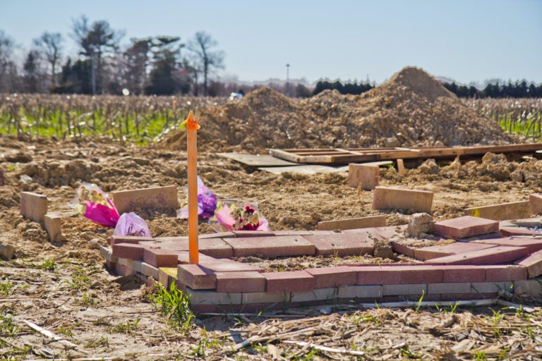 The Islamic Cemetery of Delaware. (Kimberly Paynter/WHYY)