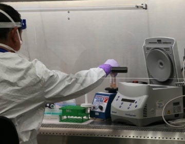 Hawaii state Department of Health microbiologist Mark Nagata demonstrates the process for testing a sample for coronavirus at the department's laboratory in Pearl City, Hawaii. (Audrey McAvoy/AP Photo)