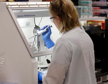 An employee of the Department of General Services Division of Consolidated Laboratories' Virginia Public Health Labratory adds chemicals in the second step of testing a sample for the Coronavirus at the lab in Richmond, Va. on Wednesday, March 4, 2020. ( Joe Mahoney/Richmond Times-Dispatch via AP)