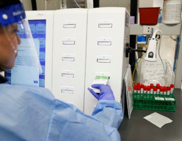 A laboratory technician prepares COVID-19 patient samples for semi-automatic testing at Northwell Health Labs, in Lake Success, N.Y. (John Minchillo/AP Photo)